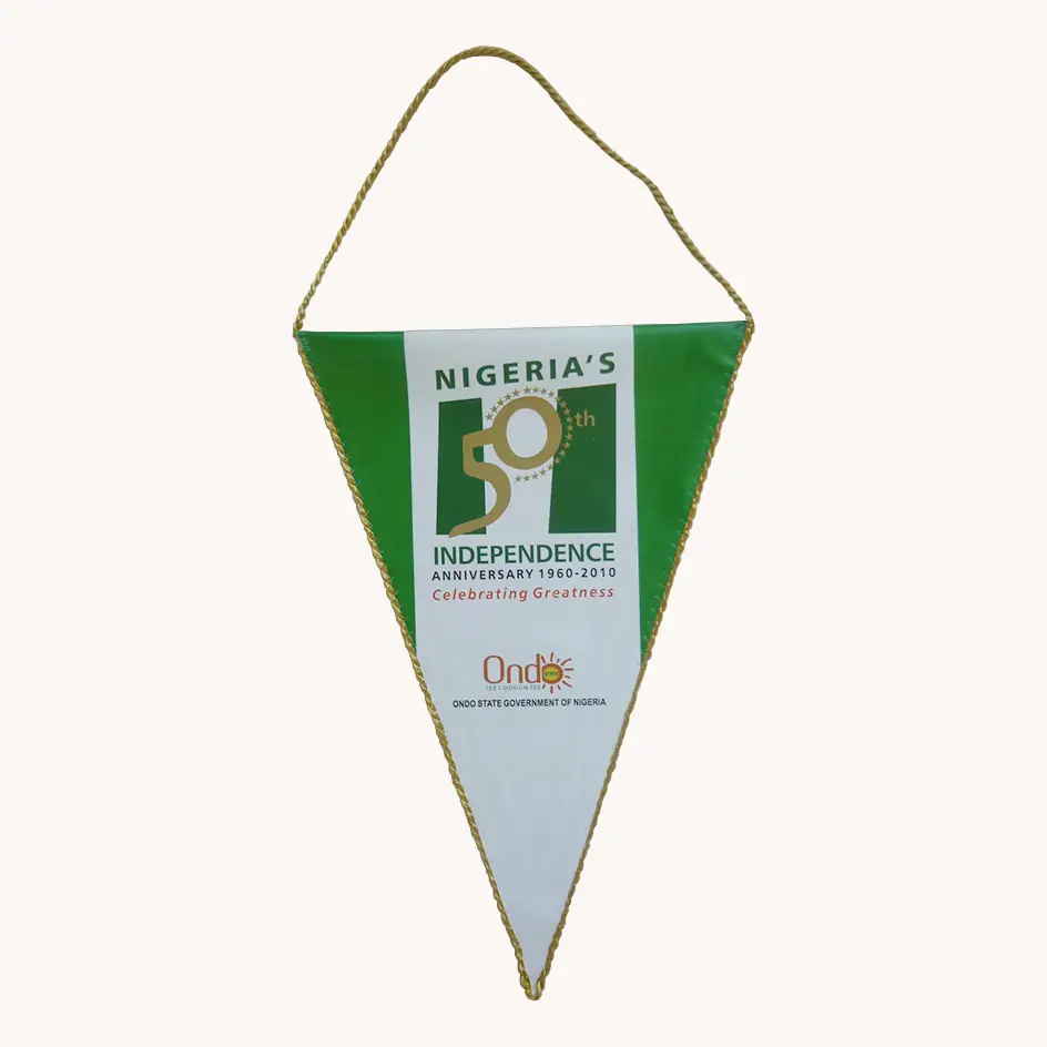Custom full-color printed triangle pennant flag with reinforced header and hanging clips, wholesale direct from Wolflag factory.
